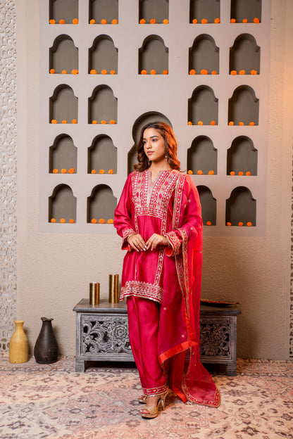 Elegant wine color Embroidered Salwar Kameez Set