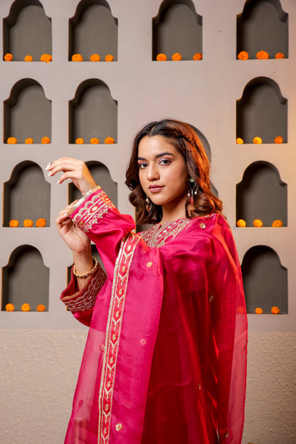 Elegant wine color Embroidered Salwar Kameez Set