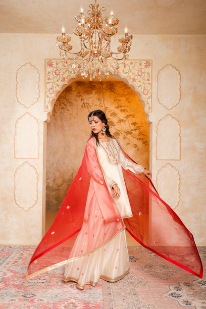 Elegant Ivory and Red Embroidered Sharara Set
