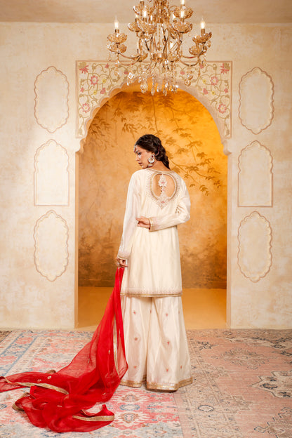 Elegant Ivory and Red Embroidered Sharara Set