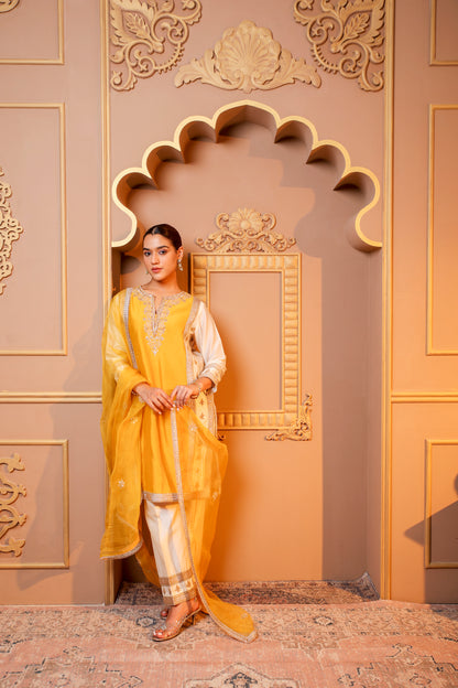Golden Glow Embroidered Suit Set
