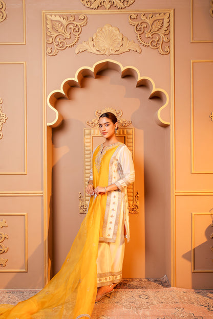 Golden Glow Embroidered Suit Set