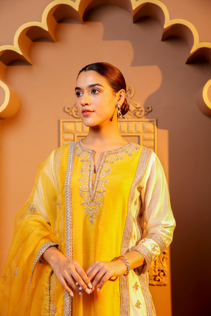 Golden Glow Embroidered Suit Set