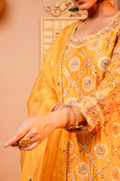 Sunshine Radiance Embroidered Suit With Plazzo Set