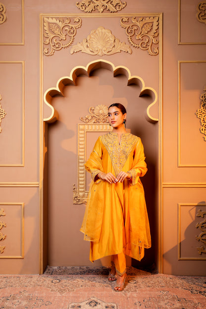 Yellow Radiance Embroidered Salwar Kameez Set