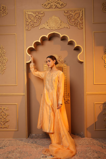 Peach Embroidered Salwar Kameez Set