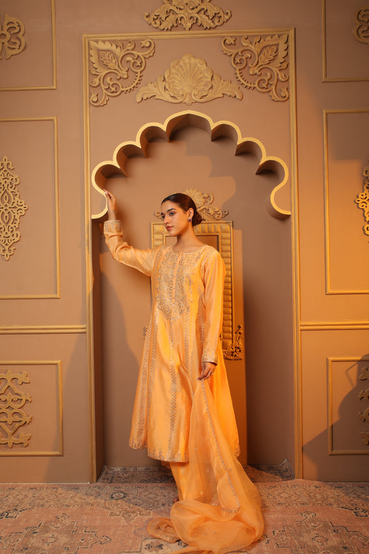Peach Embroidered Salwar Kameez Set