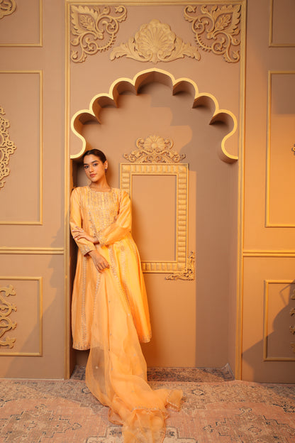 Peach Embroidered Salwar Kameez Set