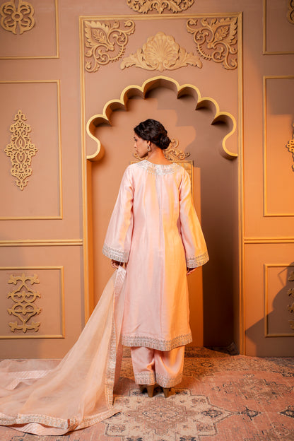 Blush Elegance Embroidered Salwar Kameez Set